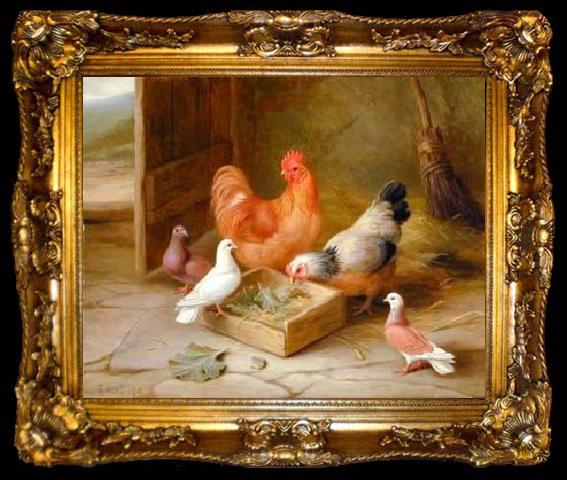 framed  unknow artist Poultry 093, ta009-2